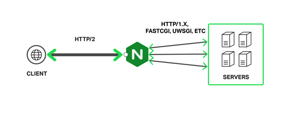 Graphic showing how NGINX Plus terminates HTTP/2 connections from clients and uses unencrypted connections to local backend servers, as part of an overall strategy to improve SEO results