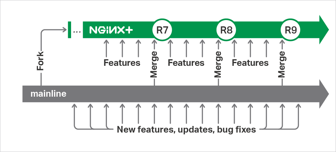 NGINX Plus releases are created by merging in all additions made to the NGINX mainline branch since the previous NGINX Plus release, then adding code for the enterprise-grade features exclusive to NGINX Plus.