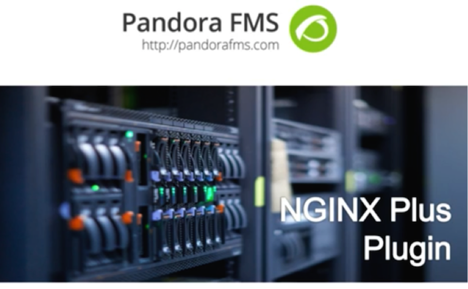 Click here to watch a short video on the Pandora FMS Plugin for NGINX Plus