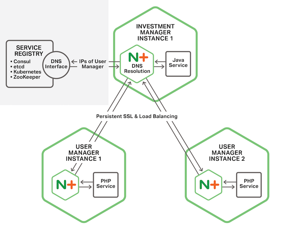 In the Fabric Model of the NGINX Microservices Reference Architecture, the NGINX Plus instance colocated with a microservice in a container establishes persistent SSL/TLS connections to NGINX Plus instances colocated with microservices in other containers, in support of communication between the microservices